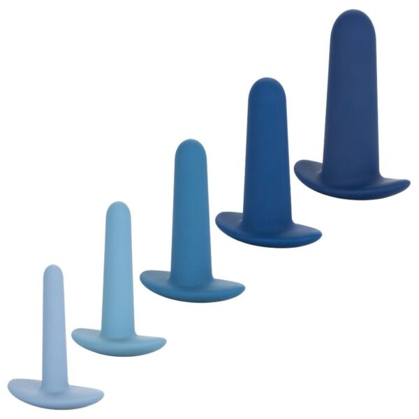 CalExotics They-ology 5-Piece — Anal Training Kit, Silicone — view 5