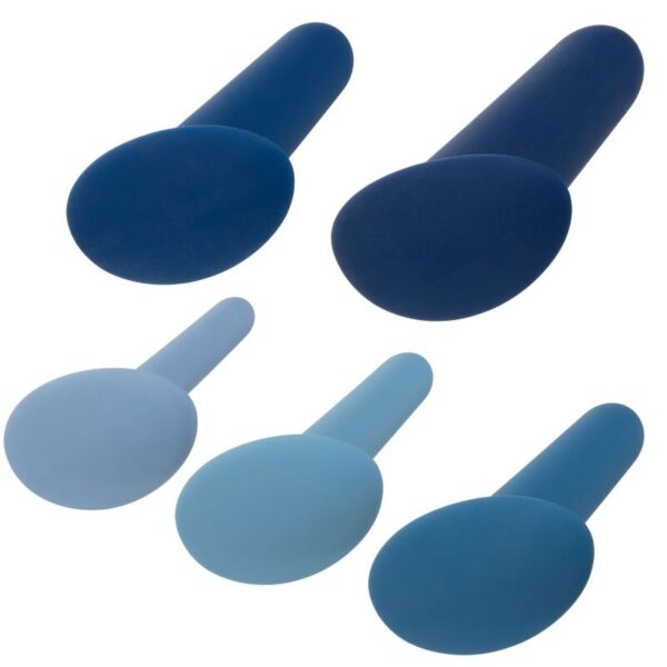 CalExotics They-ology 5-Piece — Anal Training Kit, Silicone — view 8