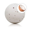 Taloka Coconut Scented — Bath Bomb — Bath & Body