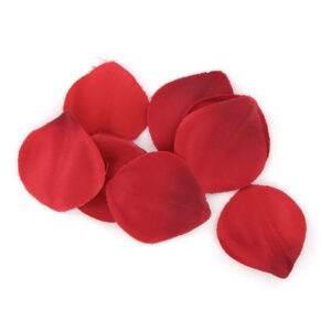 Extase Sensual Temptation Chest — Gift Kit Red — Massage Kits & Gift Sets — view 2