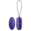 Pretty Love Arvin Youth — Vibrating Egg, Remote Control, Violet — Remote Control Vibrators