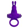 Pretty Love Ring I — Vibrating Cock Ring, Purple — Cock Rings