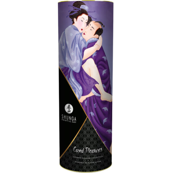 Shunga Carnal Pleasures Collection — Gift Set — Body Massage Oils — view 2