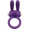 Armony Mr Bunny — Vibrating Cock Ring, Silicone, Purple — Cock Rings