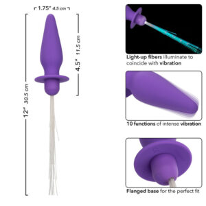 CalExotics Southern Lights — Vibrating Butt Plug, Purple — Anal — view 2