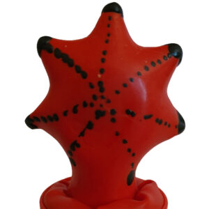 Condomerie Starfish — Novelty Condom — Novelty Condoms