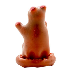 Condomerie Teddy Bear — Novelty Condom — Novelty Condoms — view 4