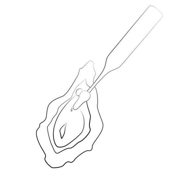Romp Pop — Clitoral Vibrator, Red — Clitoral Stimulators — view 11