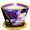 Shunga Caress — Massage Candle, 170 ml, Exotic Fruits — Massage Candles