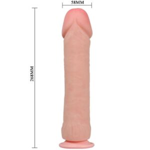 Baile The Big Penis — Realistic Dildo, Suction Cup, 26 cm — Dildos — view 2