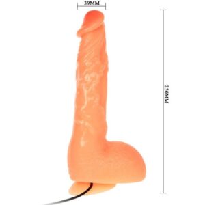 Baile Penis — Realistic Vibrator, Suction Cup — Realistic Vibrators — view 3