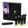 Shunga Naughty Geisha — Gift Set, with Vibrating Bullet — Massage Kits & Gift Sets